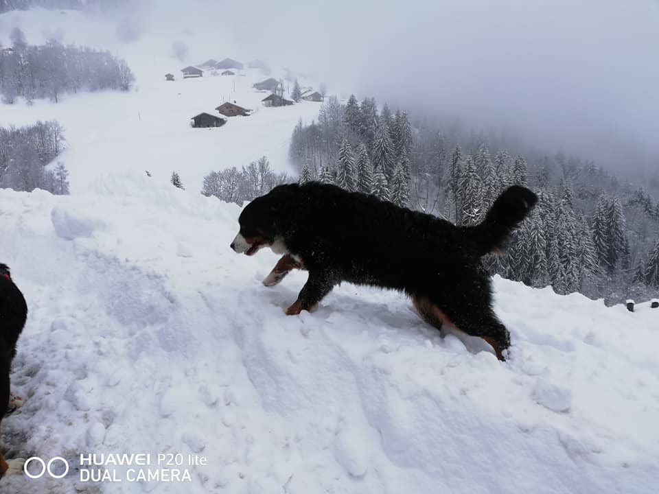 Odysee Du Versant Des Bauges